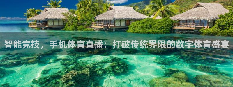 jrkan直播体育：智能竞技，手机体育直播：打破传统界限的数字体育盛宴