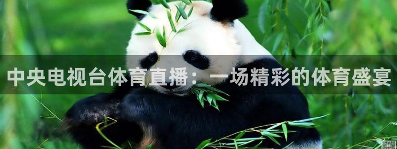 jrkankan直播体育：中央电视台体育直播：一场精彩的体育盛宴