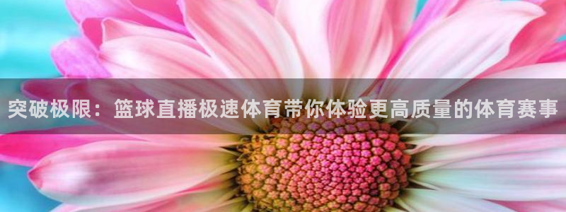 jrkan2022直播体育网：突破极限：篮球直播极速体育带你体验更高质量的体育赛事