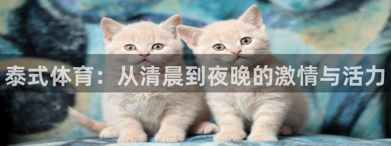 jrkan直播nba在线观看：泰式体育：从清晨到夜晚的激情与活力