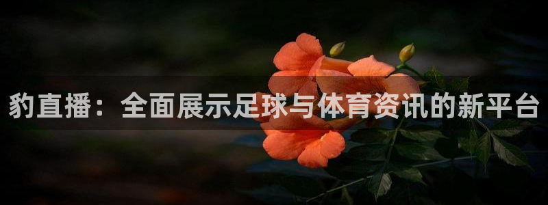 jrkan纬来直播nba：豹直播：全面展示足球与体育资讯的新平台