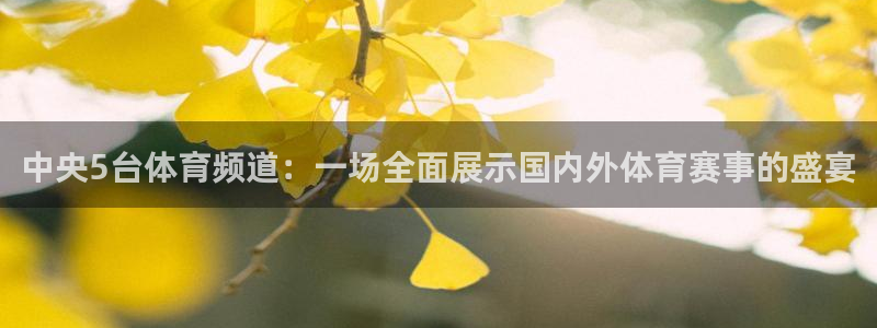 jrkan2023免费体育直播：中央5台体育频道：一场全面展示国内外体育赛事的盛宴