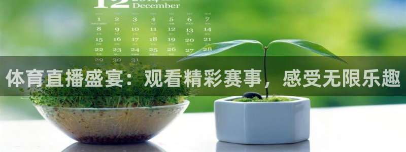 jrkan直播免费高清体育直播：体育直播盛宴：观看精彩赛事，感受无限乐趣