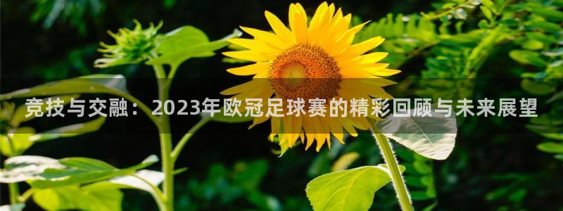 jrkan2023直播体育网