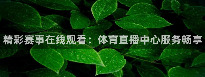 nba网站直播jrkan：精彩赛事在线观看：体育直播中心服务畅享
