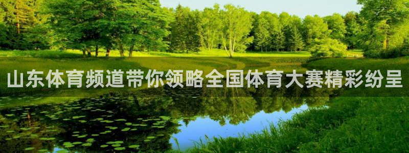 jrkankan直播体育网：山东体育频道带你领略全国体育大赛精彩纷呈