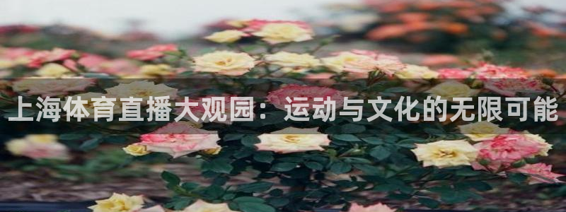 jrkan直播nba免费：上海体育直播大观园：运动与文化的无限可能