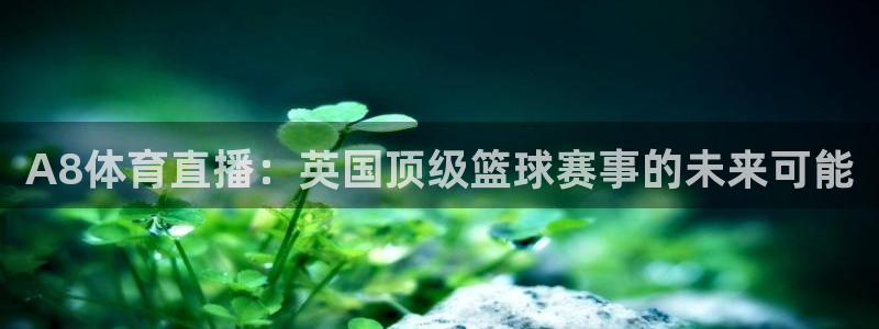 jrkan直播篮球：A8体育直播：英国顶级篮球赛事的未来可能