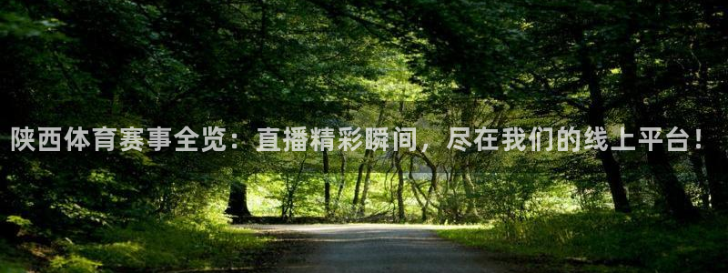 jrkan nba直播：陕西体育赛事全览：直播精彩瞬间，尽在我们的线上平台！